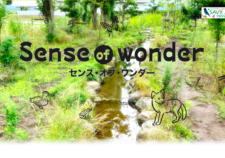 SAVE JAPANプロジェクトSense of wonder〜ビオトープオープンエデュケーションサイト〜